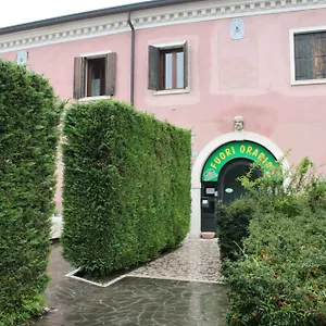 Ferri Italia